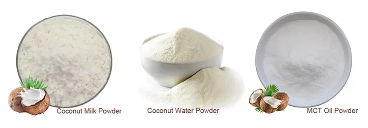 Coconut water powder manufacturers