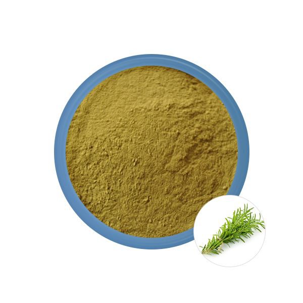 Organic Rosemary Leaf Extract