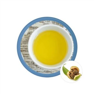 Kamelya Tohumu Yağı