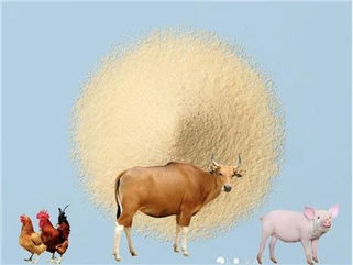 Tatlı peynir altı suyu tozu