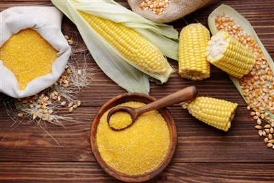 Mısır Gluten Yemeği ile Hayvancılık Performansını Artırın: Bir Beslenme Power...