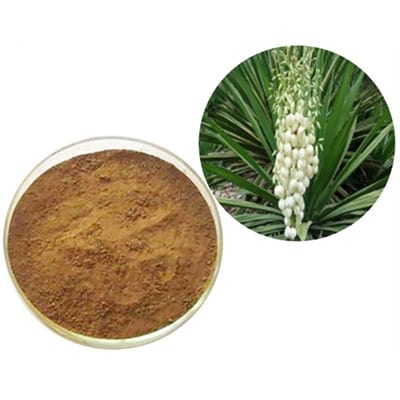 Yucca kökü tozu